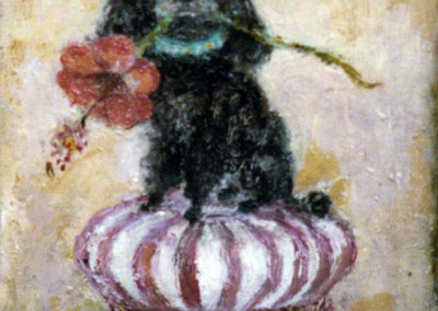 Pet Poodle